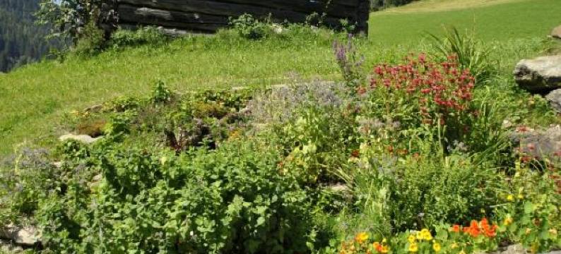 Gäste- Und Seminarhaus Sölkstub'n图片