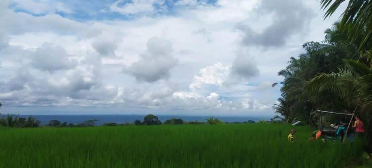 特加尔杰洛民宿(Tegal Jero Homestay)图片