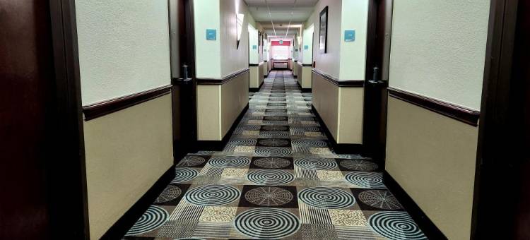 山姆休斯顿收费公路温德姆戴斯套房酒店(Days Inn & Suites by Wyndham Sam Houston Tollway)图片