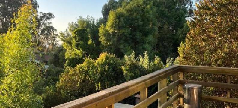 Algarrobo Lodge图片