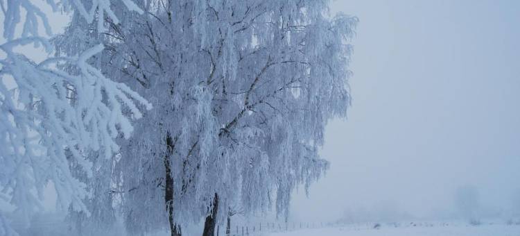 纳斯特花园住宿加早餐酒店(Nästegården Bed & Breakfast)图片