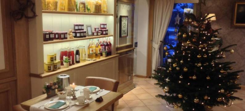 艾菲兰德酒店(Hotel Eifelland)图片