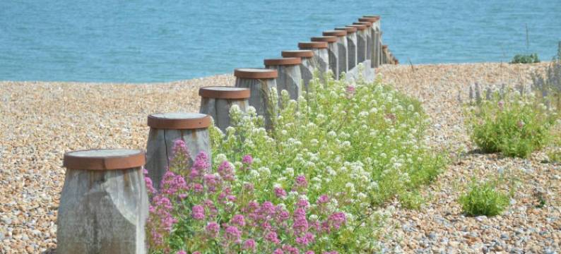瑰宝住宿加早餐旅馆(The Gem)图片