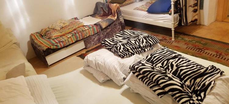 Kuti Vendeghaz图片