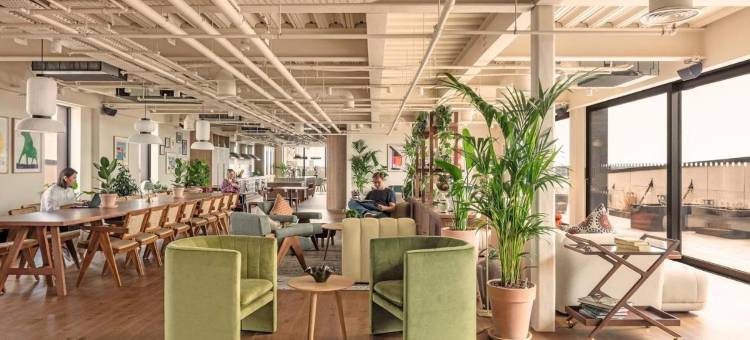 ARK温布利(ARK Wembley)图片