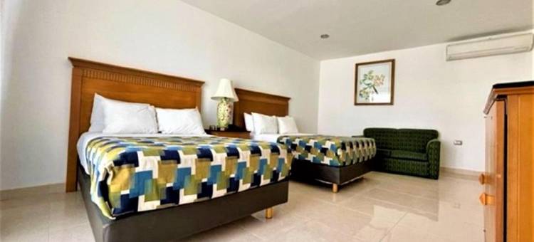 佐卡罗青年旅馆(Hotel Embajadores)图片