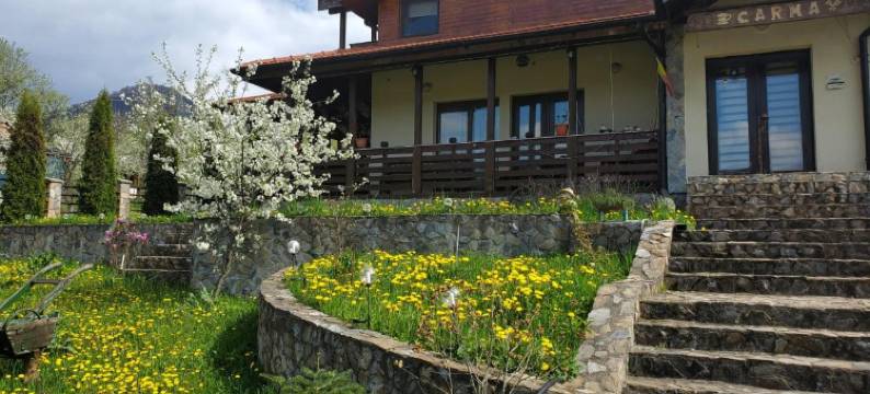 Pensiunea Carma图片