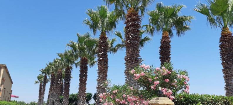 巴里奥库蒂亚酒店(Baglio Cudia Resort)图片