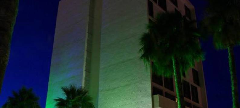 戈兰高地酒店(Golan Hotel)图片