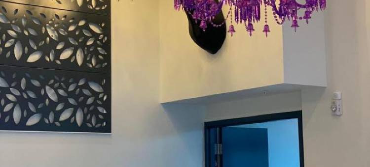 萨拉索塔康珀斯精品酒店(Kompose Boutique Hotel Sarasota)图片