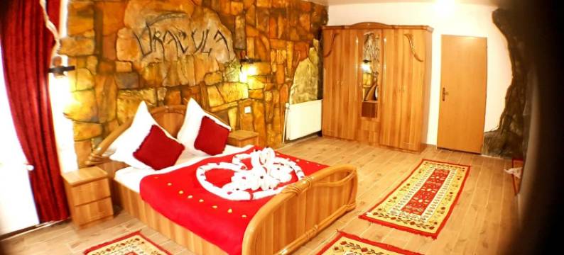 Pensiunea Dracula & Spa图片