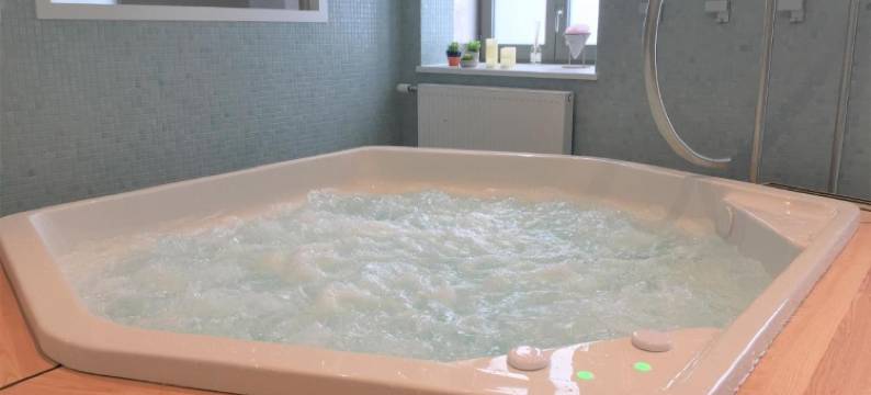 菲里希恩酒店(Le Felicien)图片