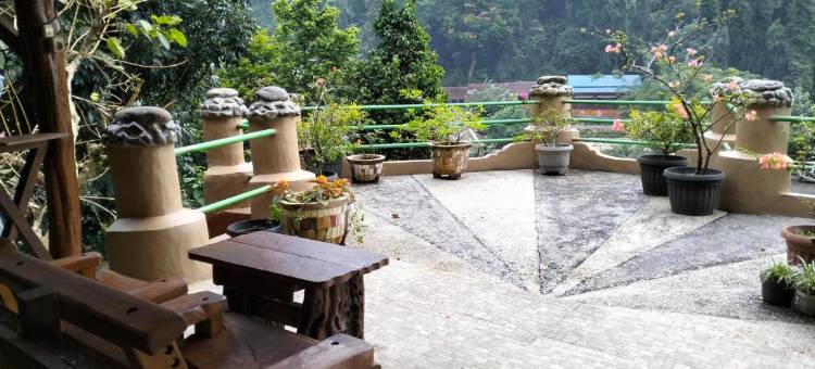 武吉拉旺朱尼亚旅馆(Junia Guesthouse Bukit Lawang)图片