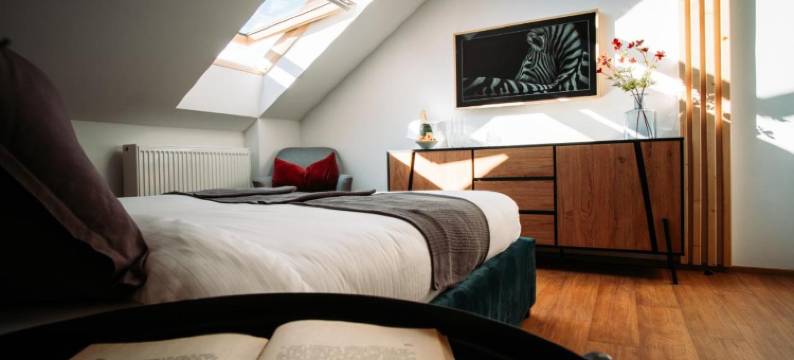 Luxury Oasis, Sauna, AC and Free Parking图片