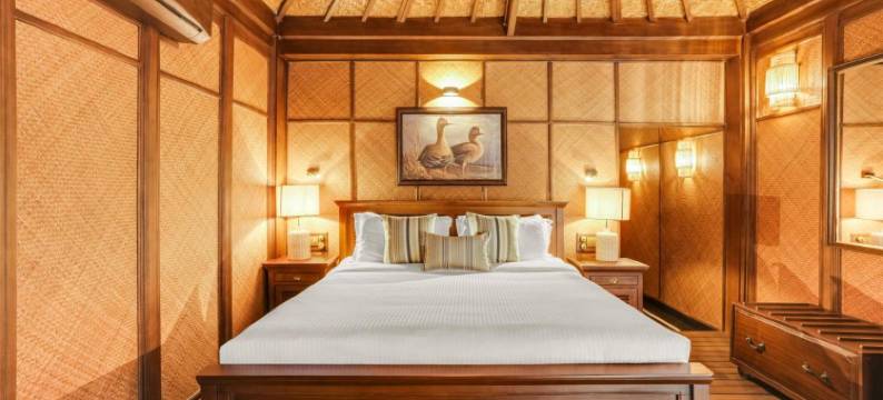 树屋度假村(The Tree House Resort)图片