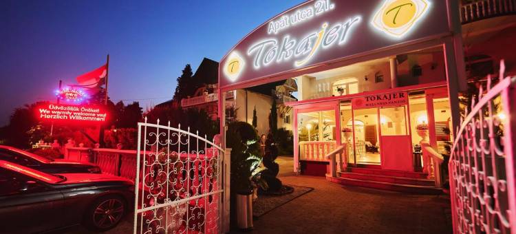 托卡耶尔康体酒店(Tokajer Wellness Hotel)图片