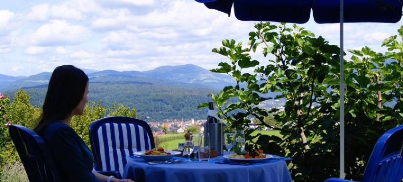 霍亨弗卢姆酒店(Hotel Hohe Flum)图片