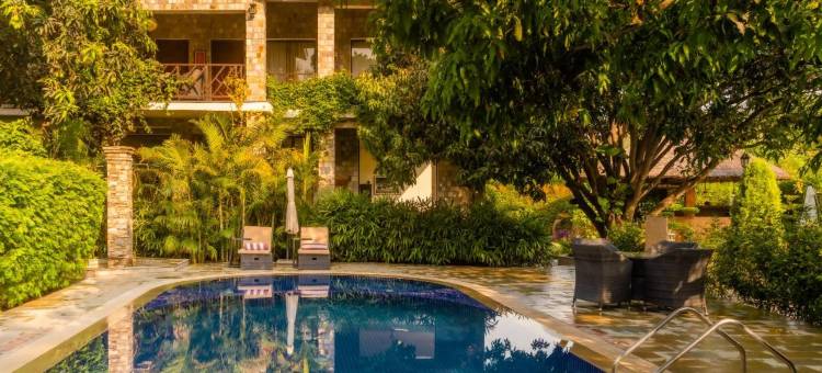 生命之树Vanvilas Riveredge(Tree of Life Vanvilas Riveredge Corbett)图片