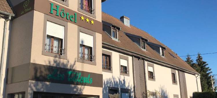 蒙贝利亚尔南部欧丹库尔蒂勒尔酒店(Les Tilleuls Montbeliard Sud Audincourt)图片