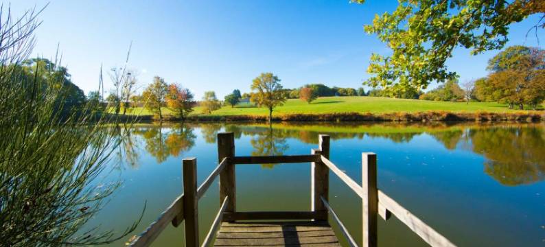 庞巴度之星酒店(Etoile de Pompadour)图片