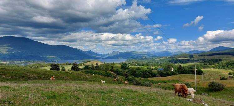 Cladich House Bed & Breakfast图片