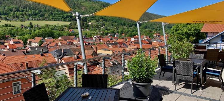 弗里登别墅酒店会议中心(Villa Frieden Hotel & Seminarhaus)图片