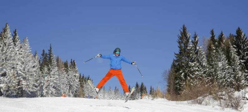 加斯特伍德夏夫特霍尔德酒店(Gastwirtschaft Hold)图片