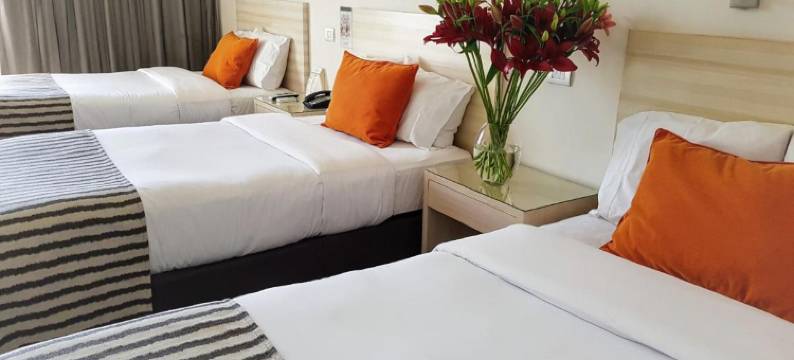 卡斯罗塔尔卡酒店(Hotel Casino Talca)图片