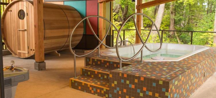 图芬诺泽德酒店(Hotel Zed Tofino)图片