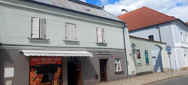 大卫膳食公寓酒店(Penzion David)图片