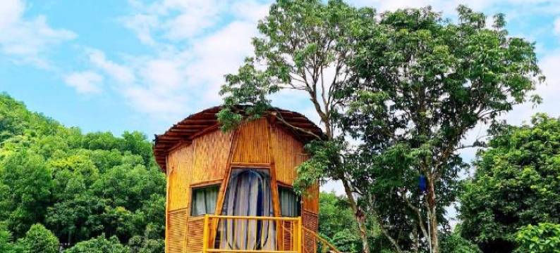 Little Bee House图片