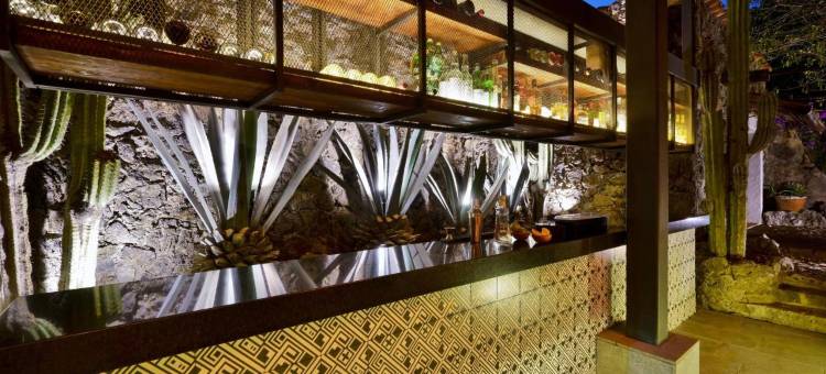 艾莫莫克特里酒店(Amomoxtli)图片