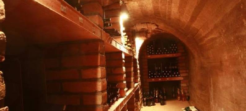 拉霍菲酒店(Hotel Lahofer)图片