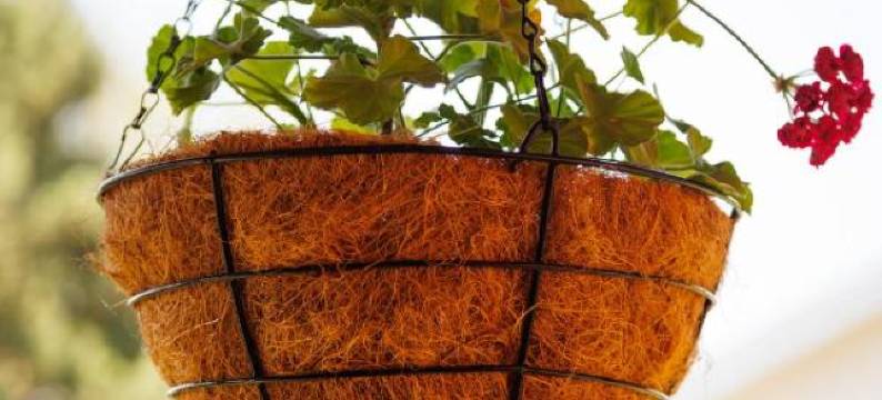 Apartmani Nina图片