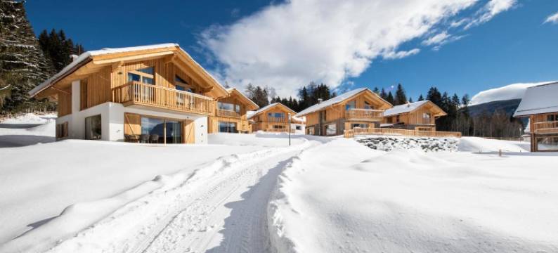 利尔普因特古特(Lerchpeuntgut Almchalets)图片