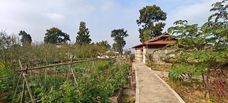 喜马拉自然农家乐(Himalchuli Nature Farmstay)图片