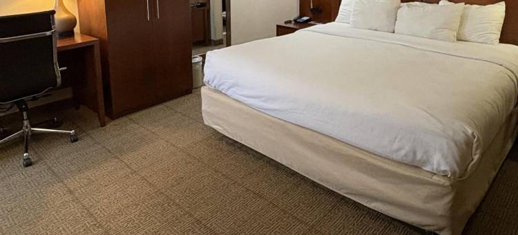 舒适酒店拉特兰 - 基灵顿(Comfort Inn Rutland - Killington)图片