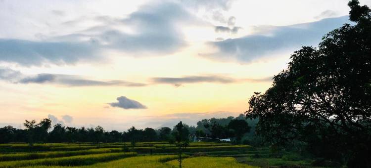 Tommy Homestay图片