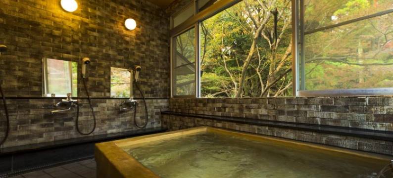 有马温泉 桥乃家别馆 岚翠(Hashinoya Bekkan Ransui)图片