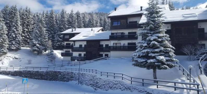 皮耶夫酒店(Alpieve Albergo Pieve)图片