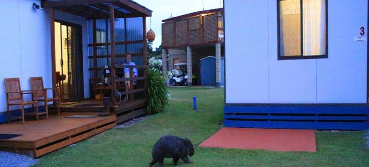 比格 4 凯尔索沙假日公园饭店(BIG4 Kelso Sands Holiday & Native Wildlife Park)图片