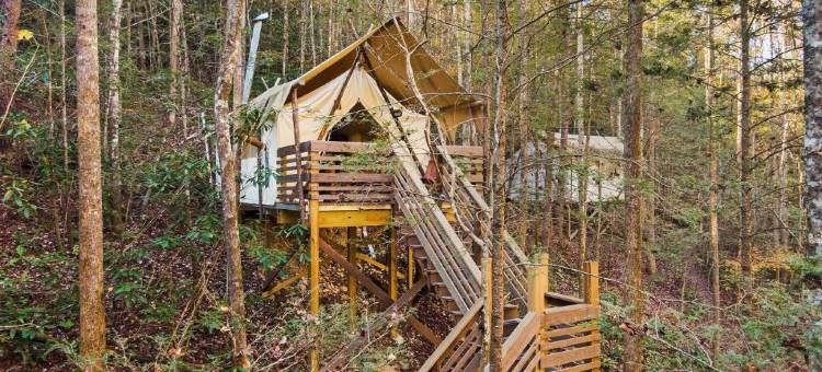 帐棚下大烟山酒店(Under Canvas Great Smoky Mountains)图片