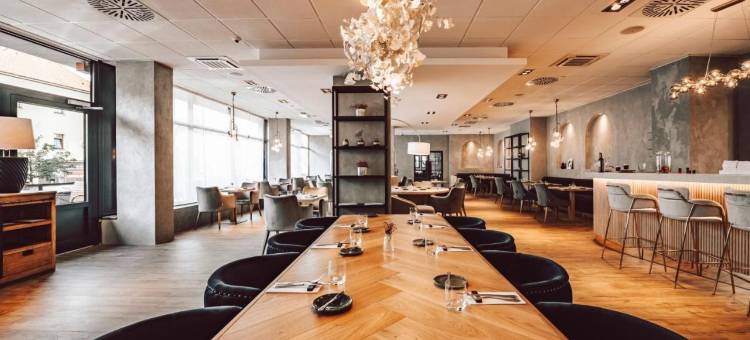 派勒萨特酒店(Hotel Palcat)图片