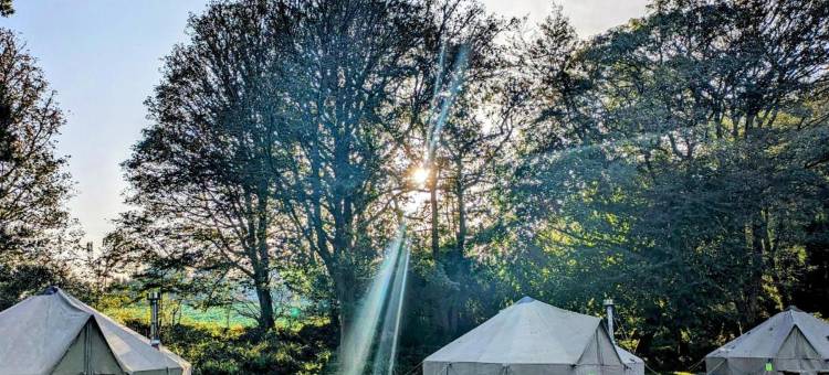 彭赞斯青年旅舍(YHA Penzance)图片