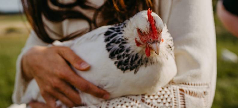 Maiers Johanniterbad Ringhotel Rottweil图片