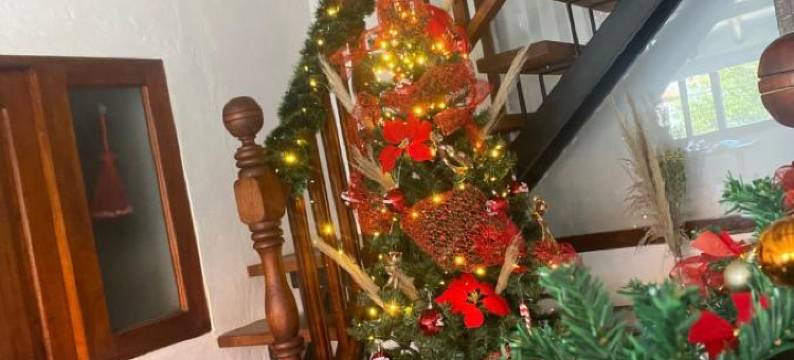 托斯卡纳旅馆(La Toscana Hostel)图片