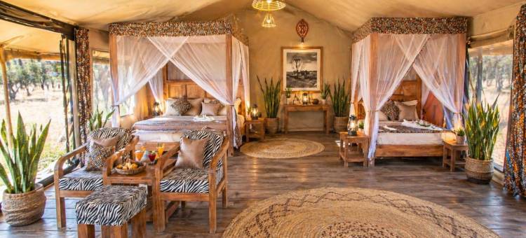 非洲萨法里塞伦盖蒂科加滕德山林小屋(Africa Safari Serengeti Kogatende)图片