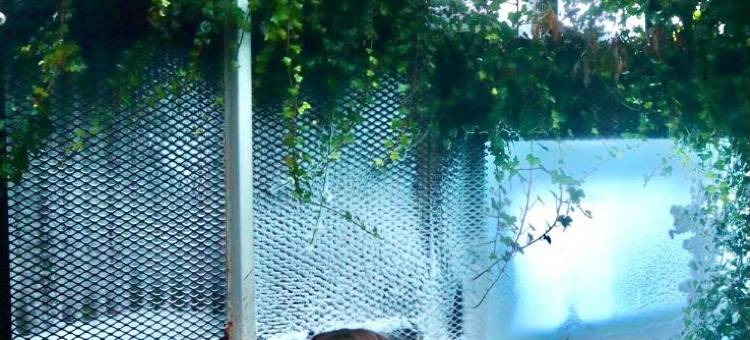 海达勒乡村酒店(Country Hotel Heydalur)图片