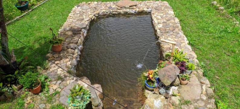 Hostal Casa de Guadua/ the Bamboo House图片