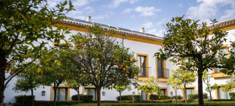 AZZ 卡斯特利亚哈仙达埃尔阿尔科尔诺卡尔(Azz Castellar Hacienda El Alcornocal)图片